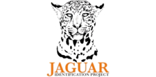 Jaguar ID Project