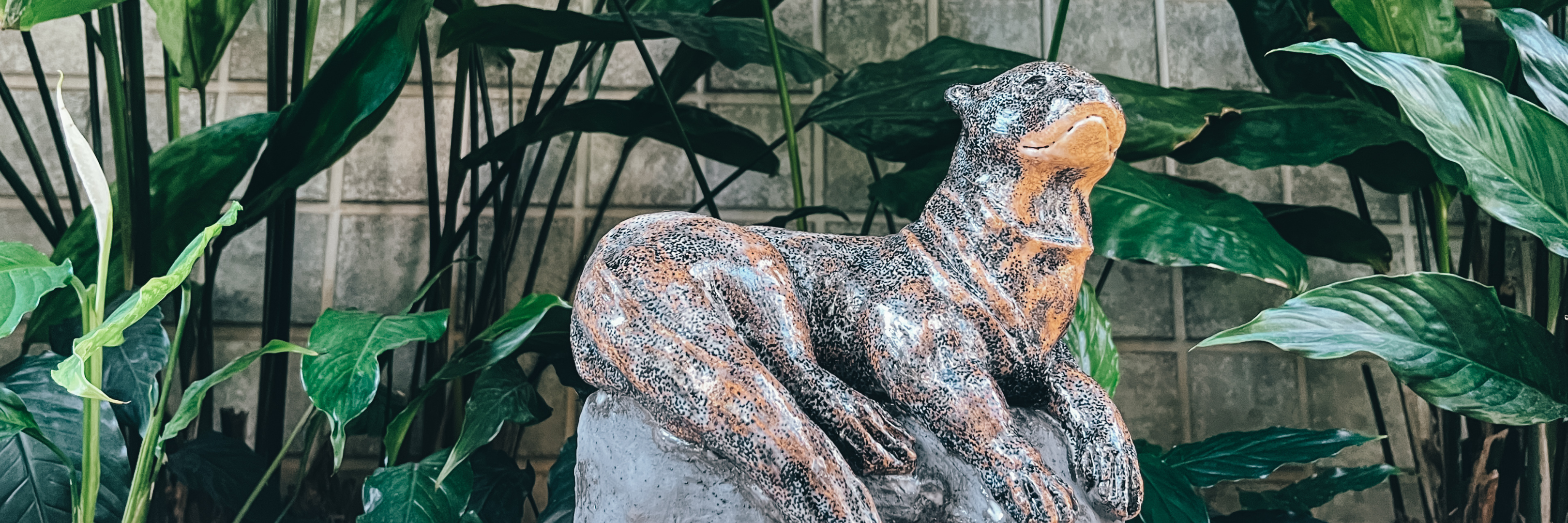 Arte pela conservação: Projeto Ariranhas firma parceria com a artista Marcela Salles